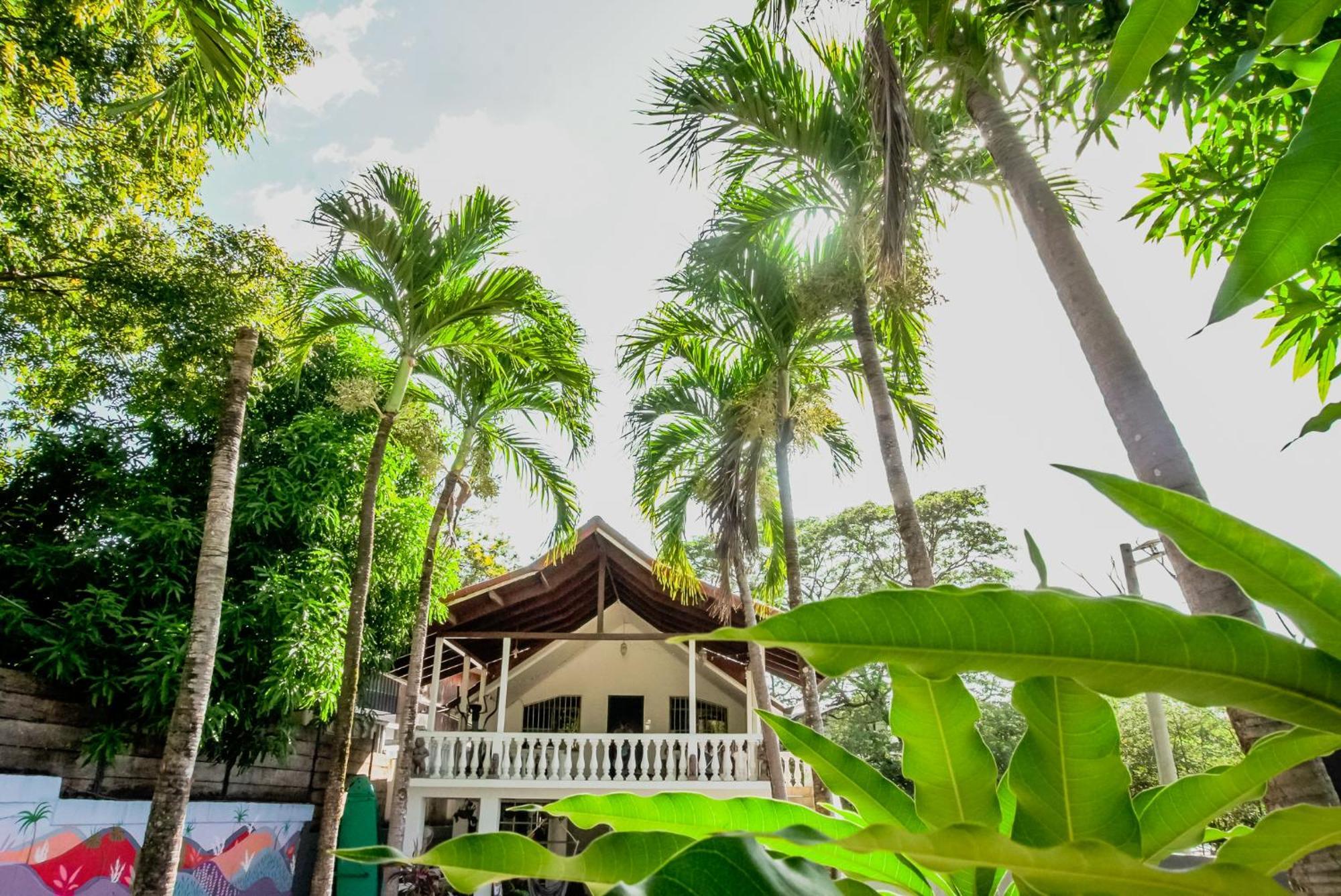 Mai Ke Kai Surf House Hostel Tamarindo Bagian luar foto